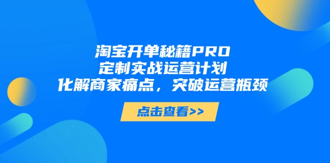 淘宝开单秘籍PRO，定制实战运营计划，化解商家痛点，突破运营瓶颈-云创优业
