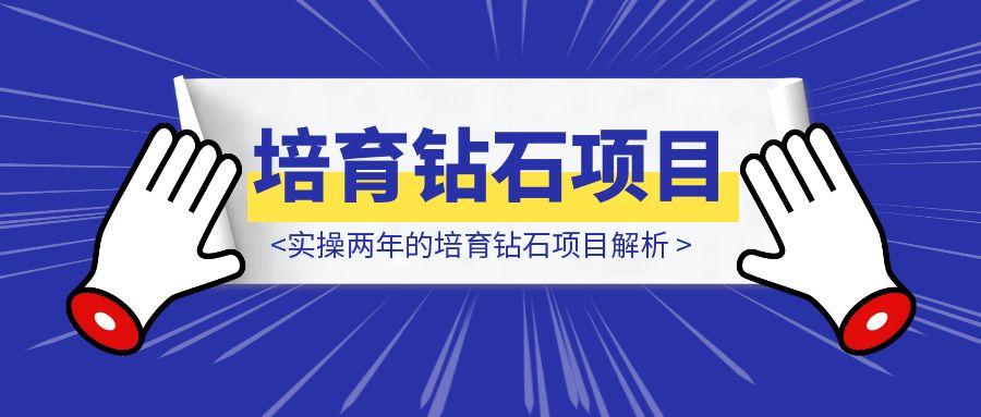 从生活细节中发现机会，实操两年的培育钻石项目解析-轻创云课