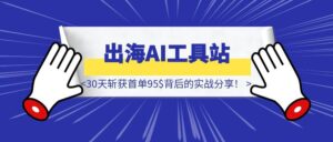 从0到1打造出海AI工具站,30天斩获首单95$背后的实战分享!-优创圈