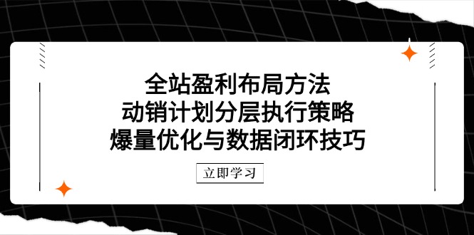 全站盈利布局方法：动销计划分层执行策略，爆量优化与数据闭环技巧-胜创圈