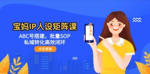 宝妈IP人设矩阵课：ABC号搭建，批量SOP，私域转化高效闭环-优创圈
