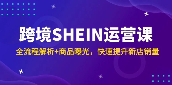 跨境SHEIN运营课，全流程解析+商品曝光，快速提升新店销量-点创网
