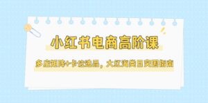小红书电商高阶课，多店矩阵+卡位选品，大红海类目突围指南-优创圈