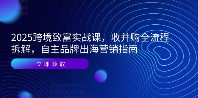 2025跨境致富实战课，收并购全流程拆解，自主品牌出海营销指南-胜创圈