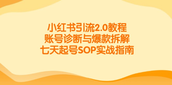 小红书引流2.0教程，账号诊断与爆款拆解，七天起号SOP实战指南-点创网