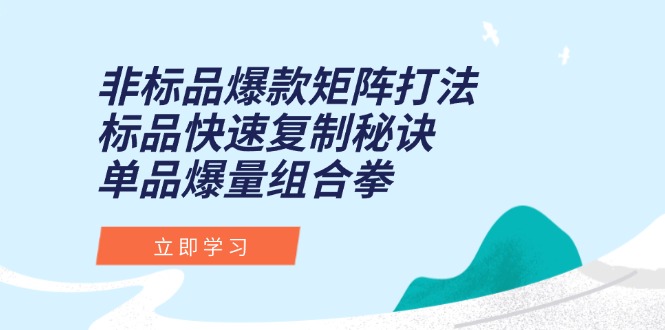 非标品爆款矩阵打法，标品快速复制秘诀，单品爆量组合拳-胜创圈