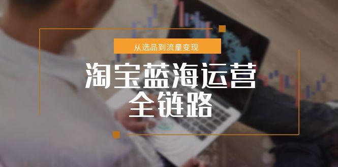 淘宝蓝海运营全链路，从选品到流量变现，小类目突围完整方案-优创圈