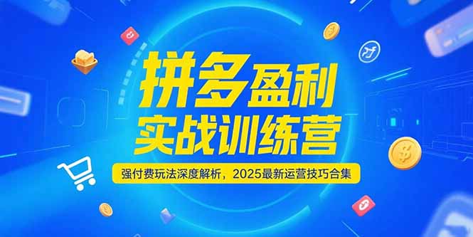 拼多多盈利实战训练营，强付费玩法深度解析，2025运营技巧合集-更新6月-清创圈