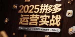 2025拼多多运营实战：店铺定位选品技巧，爆款打造全流程解析（更新6月）-优创圈