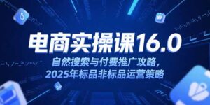淘宝电商运营课16.0，自然搜索与付费推广攻略，2025年标品非标品运营策略-优创圈