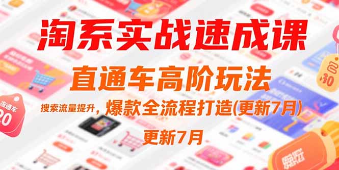 淘系实战速成课，直通车高阶玩法，搜索流量提升，爆款全流程打造(更新7月)-取盛轻创