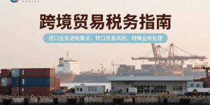 跨境贸易税务指南，进口业务退税要点，转口贸易风险，特殊业务处理-优创圈