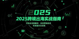 2025跨境出海实战指南，并购全流程解析，自创营销体系，专家基本功训练-优创圈