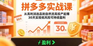 拼多多实战课：从高利润选品到自然流高投产起爆 30天实现低风险可持续盈利-优创圈