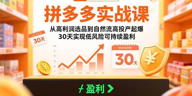 拼多多实战课：从高利润选品到自然流高投产起爆 30天实现低风险可持续盈利-胜创圈