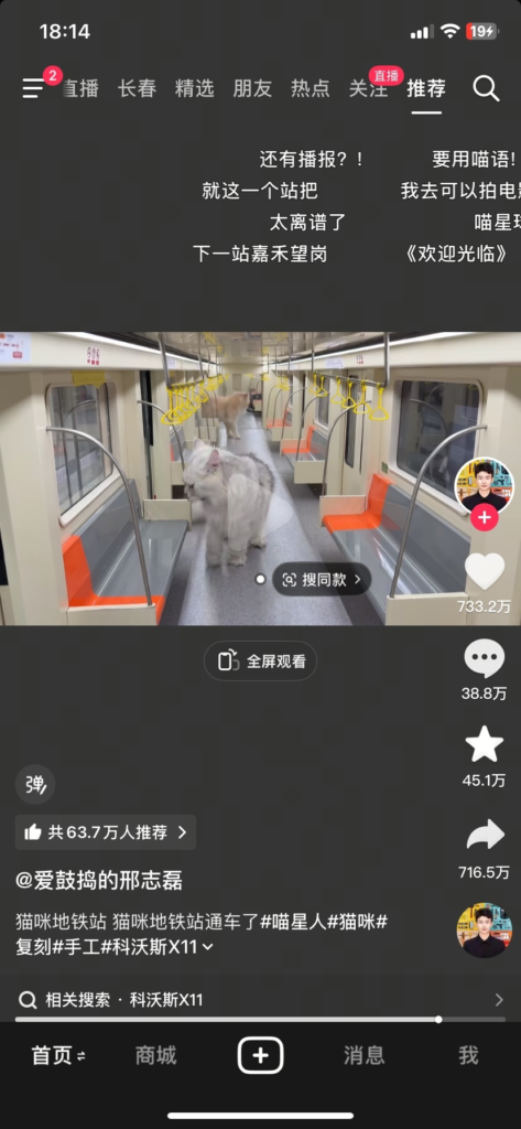 抖音一个给猫制作各种好玩的玩意儿的博主-搞钱线报📢论坛-网创交流-优创圈