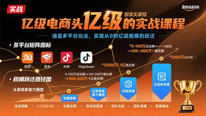 亿级电商头部卖家的实战课程：涵盖多平台玩法，实现从0到亿级规模的跃迁-清创圈