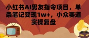 小红书AI男友指令项目,单条笔记变现1w+,小众赛道实操复盘-优创圈