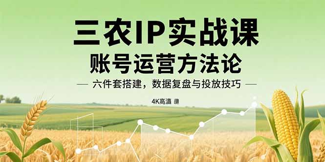 三农IP实战课：账号运营方法论，六件套搭建，数据复盘与投放技巧-优创圈