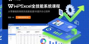 WPS Excel全技能系统课程：从零基础到高阶实战全覆盖，全面提升办公效率-优创圈