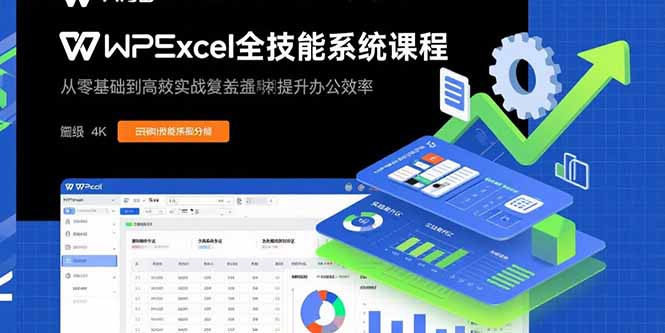 WPS Excel全技能系统课程：从零基础到高阶实战全覆盖，全面提升办公效率-胜创圈