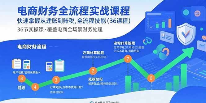 电商财务全流程实战课程：快速掌握从建账到报税的全流程技能（36节课）-聚创学社