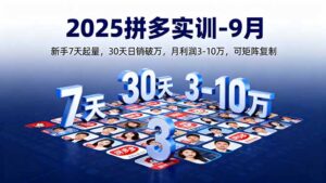 2025拼多多实训-9月:新手7天起量,30天日销破万,月利润3-10万,可矩阵复制-优创圈