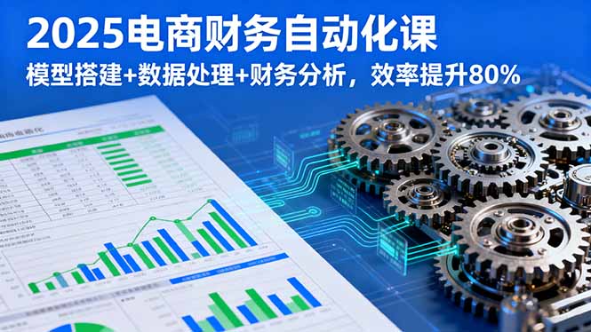 2025电商财务自动化课，模型搭建+数据处理+财务分析，效率提升80%-胜创圈