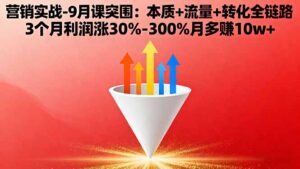 营销实战-9月突围课:本质+流量+转化全链路 3个月利润涨30%-300%月多赚10w+-优创圈