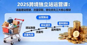 2025跨境独立站运营课：涵盖建站搭建、流量获取、转化优化三大核心模块-优创圈
