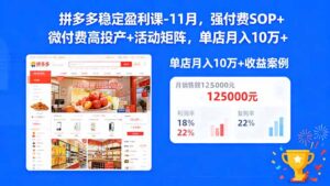 拼多多稳定盈利课-11月，强付费SOP+微付费高投产+活动矩阵，单店月入10万+-优创圈