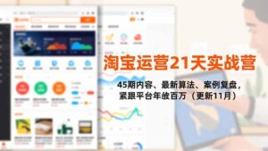 淘宝运营21天实战营,45期内容、最新算法、案例复盘,紧跟平台年入百万(更新11月)-优创圈