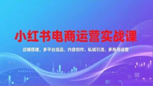 小红书电商运营实战课，店铺搭建、多平台选品、内容创作、私域引流、多账号运营等玩法-优创圈