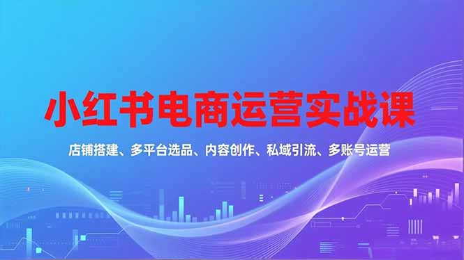 小红书电商运营实战课，店铺搭建、多平台选品、内容创作、私域引流、多账号运营等玩法-优创圈