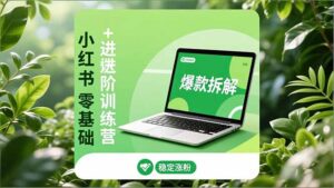 小红书零基础+高阶训练营：安全养号、爆款拆解、长效运营，实现稳定涨粉与变现-优创圈