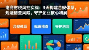 电商财税风控实战：3天构建合规体系，规避稽查风险，守护企业核心利润-优创圈