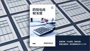 跨境电商财务课,核算逻辑、平台规则、账务处理,掌握全盘账务,胜任高薪岗位月入1.5万+-优创圈