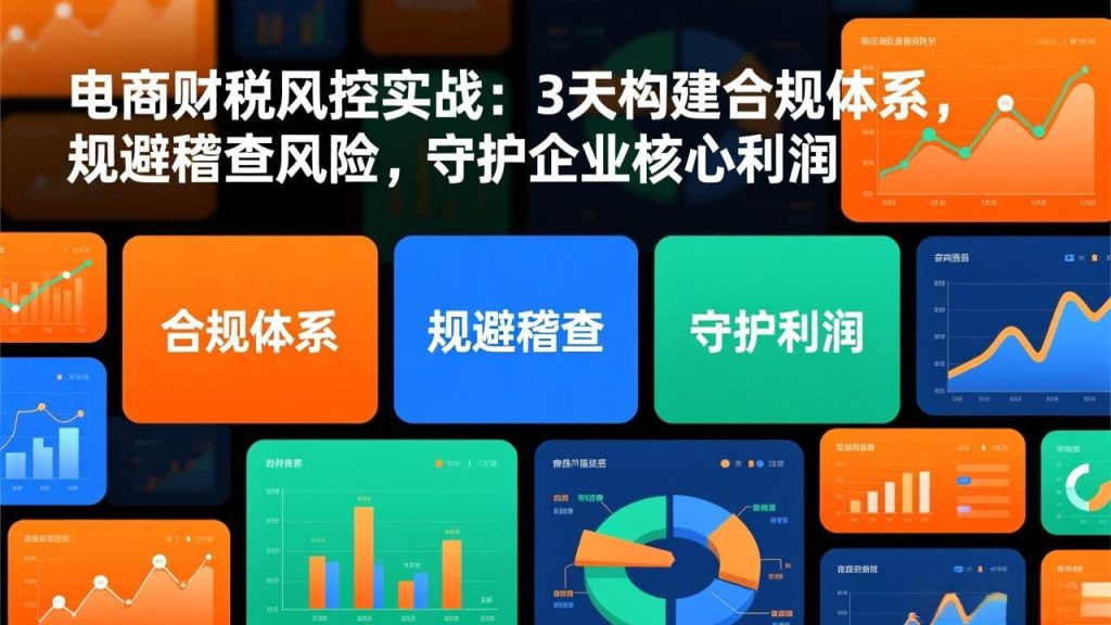 电商财税风控实战：3天构建合规体系，规避稽查风险，守护企业核心利润-胜创圈