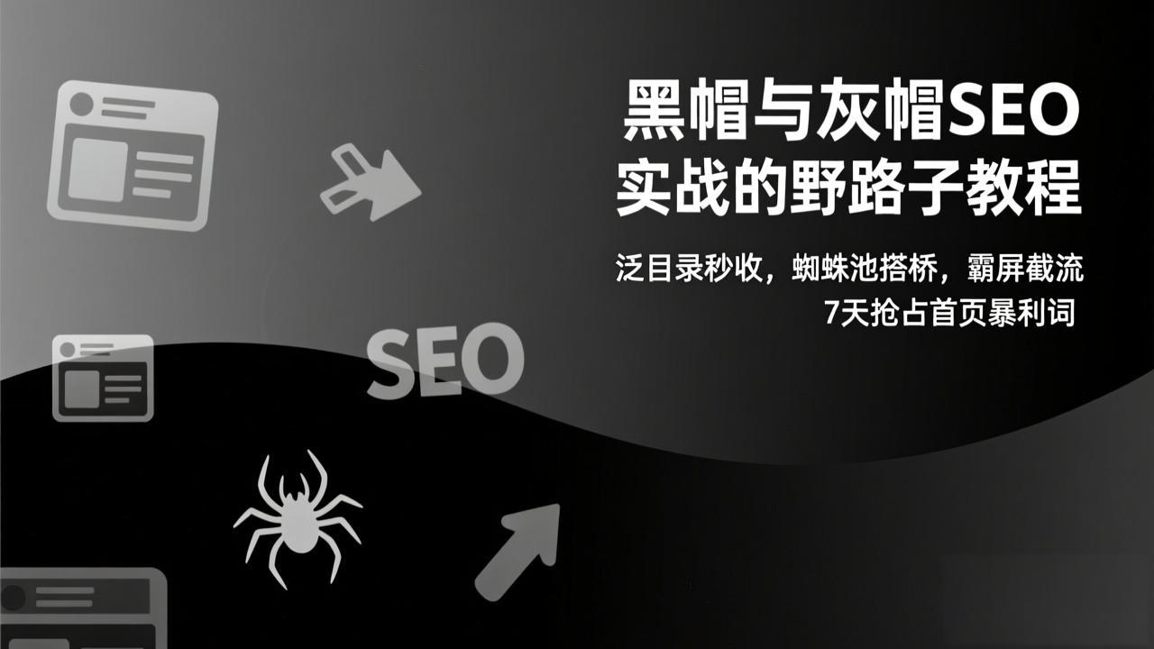 黑帽与灰帽SEO实战的野路子教程：泛目录秒收，蜘蛛池搭桥，霸屏截流，7天抢占首页暴利词-伙伴笔记