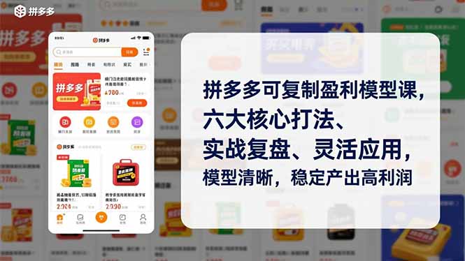 拼多多可复制盈利模型课，六大核心打法、实战复盘、灵活应用，模型清晰，稳定产出高利润-清创圈