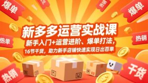拼多多运营实战课，新手入门+运营进阶、爆单打法，16节干货，助力新手店铺快速实现日出百单-优创圈