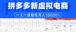 拼多多虚拟电商一人一店轻松月入10000+-优创圈