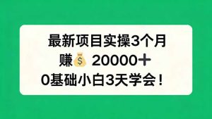 最新项目实操3个月，赚钱20000+，0基础小白3天学会！-优创圈