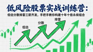 低风险股票实战训练营：低估分散排雷三箭齐发，手把手教你构建十年十倍永续组合-优创圈