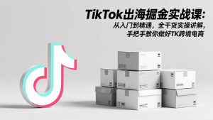 TikTok出海掘金实战课：从入门到精通，全干货实操讲解，手把手教你做好TK跨境电商-优创圈