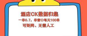 上班也能玩的酒店CK数据归集，一单0.7单窗口每天可做100单，一个人就能矩阵操作【揭秘】-优创圈