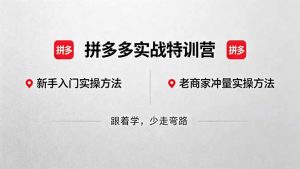 拼多多实战特训营(更新5月3)：不管是新手入门或老商家冲量，都有实操方法，跟着学，少走弯路-优创圈