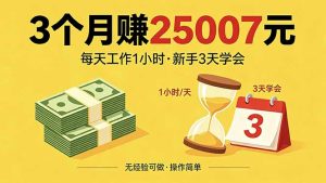 3个月赚钱25007元，每天工作1个小时，新手3天全部学会！-优创圈
