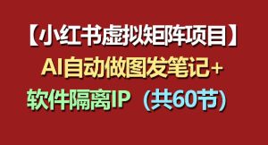 小红书虚拟矩阵项目：软件隔离IP+AI自动做图发笔记（共60节）-优创圈