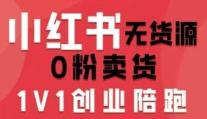 小红书无货源0粉电商课，开店准备、选品策略、笔记撰写、视频剪辑、数据分析、账号打造、资料文档（更新26年5月11日）-优创圈